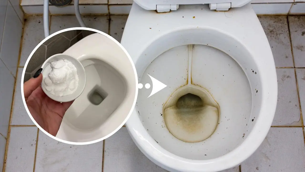 Non usare la candeggina per il WC: questo mix naturale disinfetta e sbianca molto di più