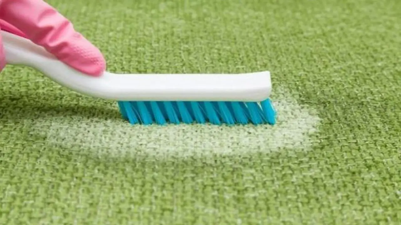 Il trucco per raccogliere i peli di cani e gatti da divani e tappeti in un attimo